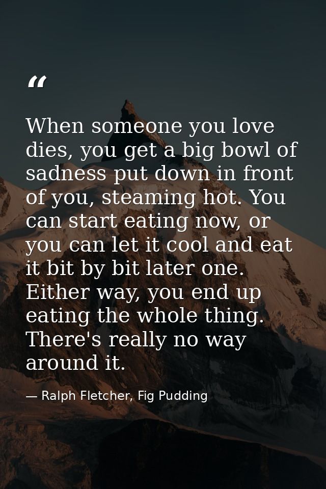 When someone you love dies, you get a big bowl of sadness put down in front of you, steaming hot. You can start eating n — Ralph Fletcher, Fig Pudding