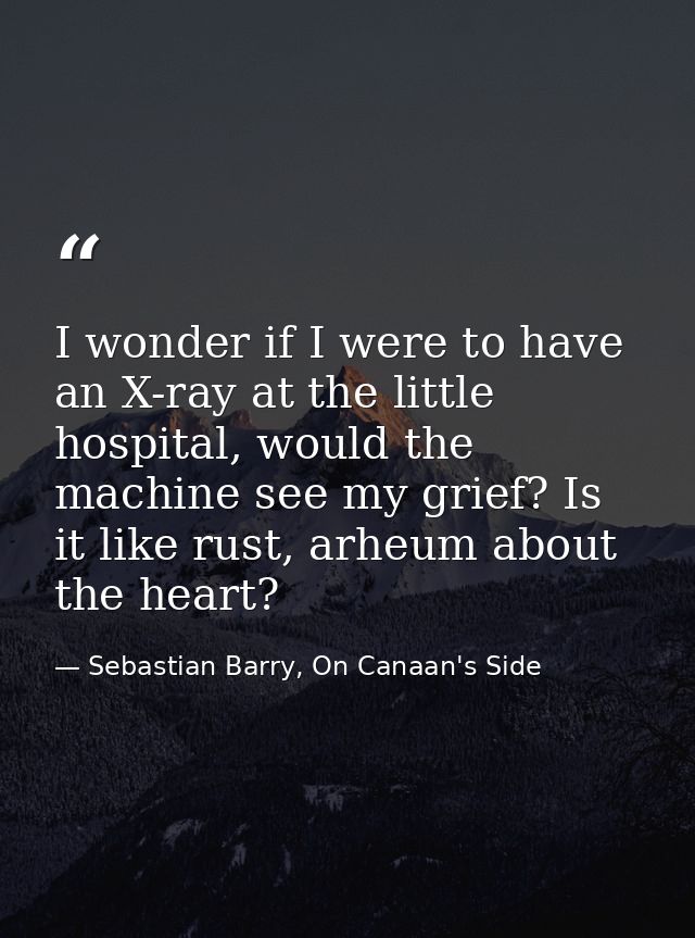 I wonder if I were to have an X-ray at the little hospital, would the machine see my grief? Is it like rust, arheum abou — Sebastian Barry, On Canaan's Side