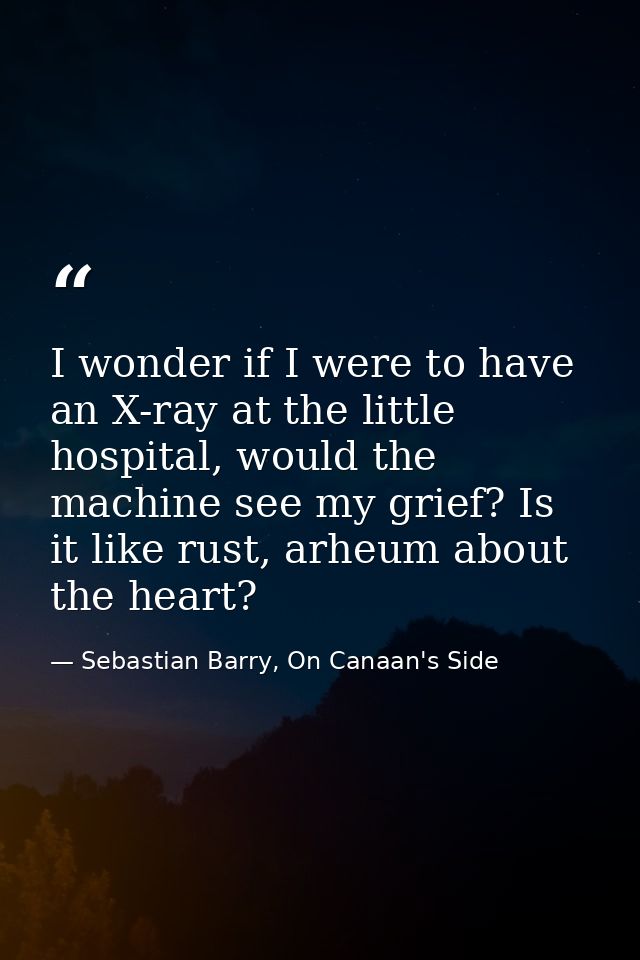 I wonder if I were to have an X-ray at the little hospital, would the machine see my grief? Is it like rust, arheum abou — Sebastian Barry, On Canaan's Side