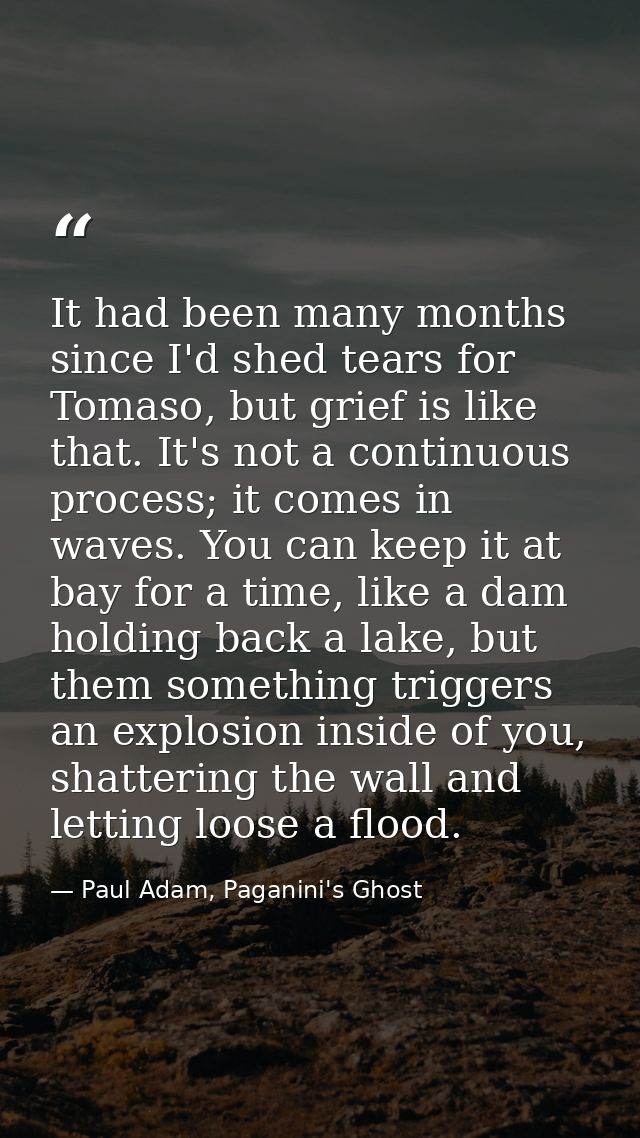 It had been many months since I'd shed tears for Tomaso, but grief is like that. It's not a continuous process; it comes — Paul Adam, Paganini's Ghost