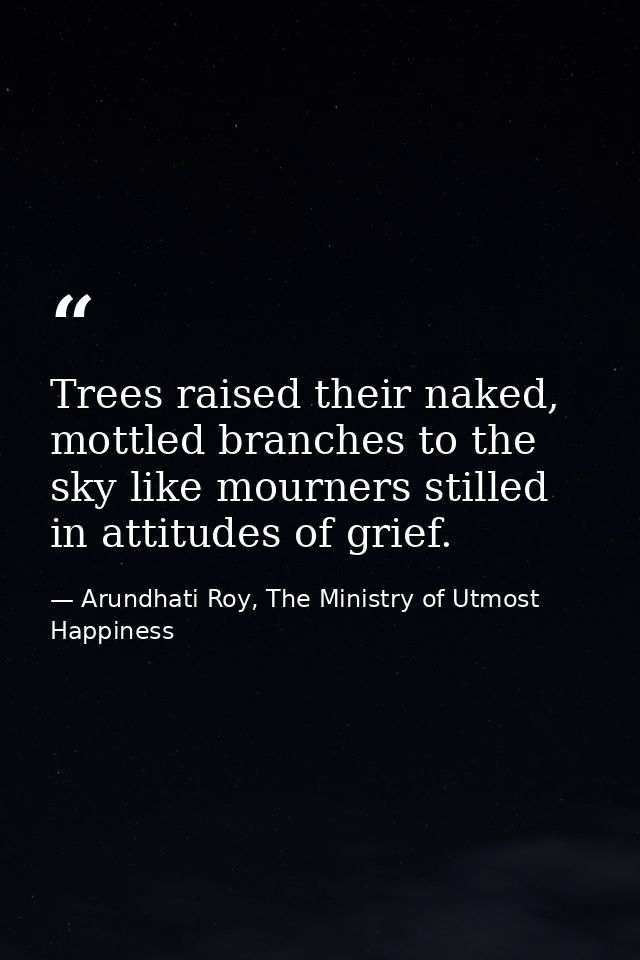 Trees raised their naked, mottled branches to the sky like mourners stilled in attitudes of grief. — Arundhati Roy, The Ministry of Utmost Happiness