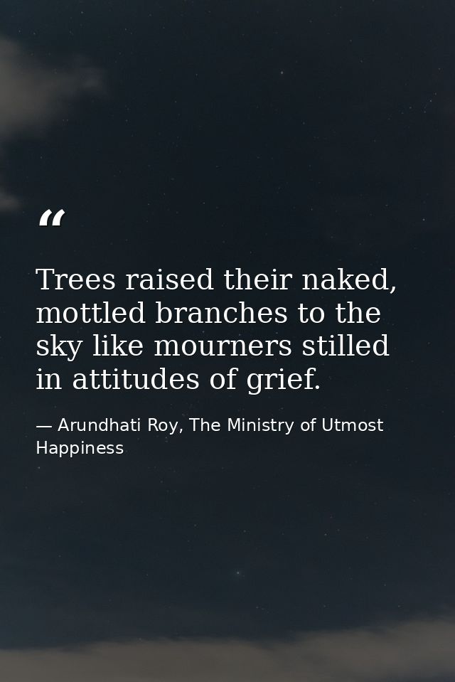 Trees raised their naked, mottled branches to the sky like mourners stilled in attitudes of grief. — Arundhati Roy, The Ministry of Utmost Happiness