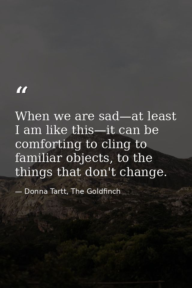 When we are sad—at least I am like this—it can be comforting to cling to familiar objects, to the things that don't chan — Donna Tartt, The Goldfinch
