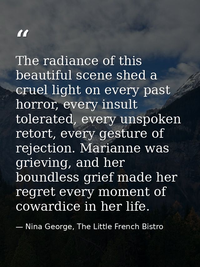 The radiance of this beautiful scene shed a cruel light on every past horror, every insult tolerated, every unspoken ret — Nina George, The Little French Bistro