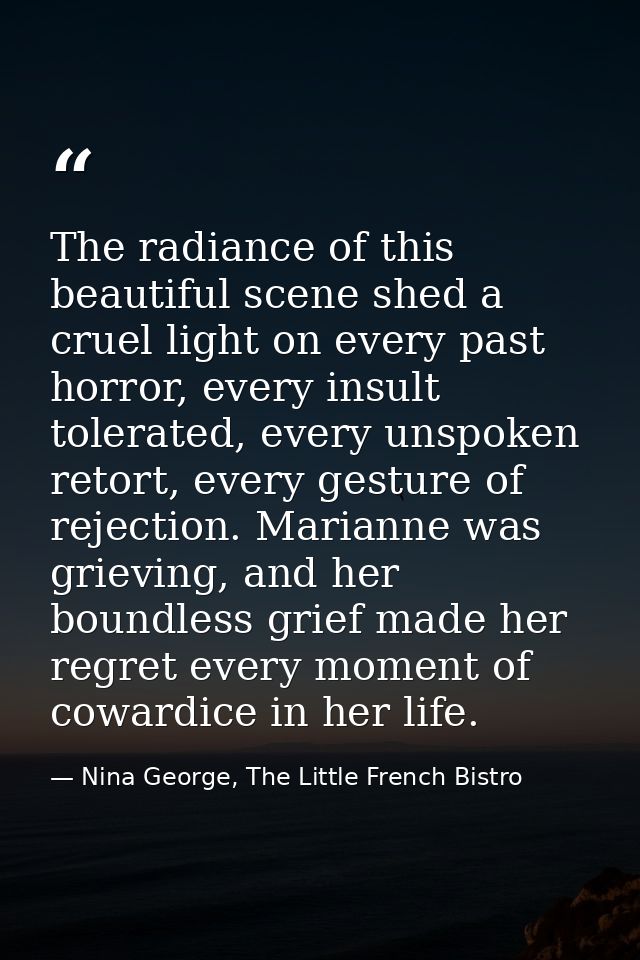 The radiance of this beautiful scene shed a cruel light on every past horror, every insult tolerated, every unspoken ret — Nina George, The Little French Bistro