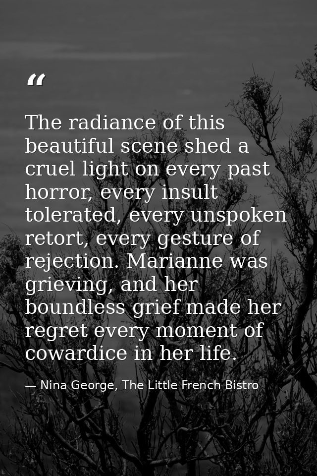 The radiance of this beautiful scene shed a cruel light on every past horror, every insult tolerated, every unspoken ret — Nina George, The Little French Bistro