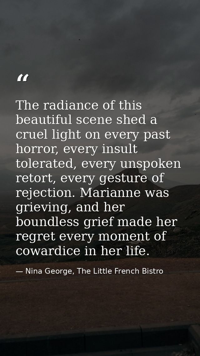 The radiance of this beautiful scene shed a cruel light on every past horror, every insult tolerated, every unspoken ret — Nina George, The Little French Bistro