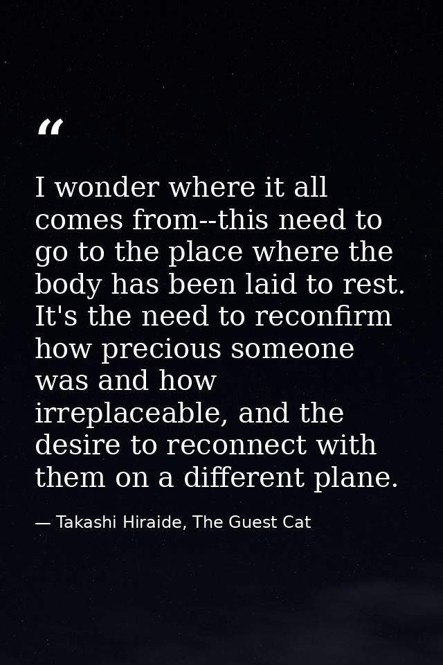 I wonder where it all comes from--this need to go to the place where the body has been laid to rest. It's the need to re — Takashi Hiraide, The Guest Cat