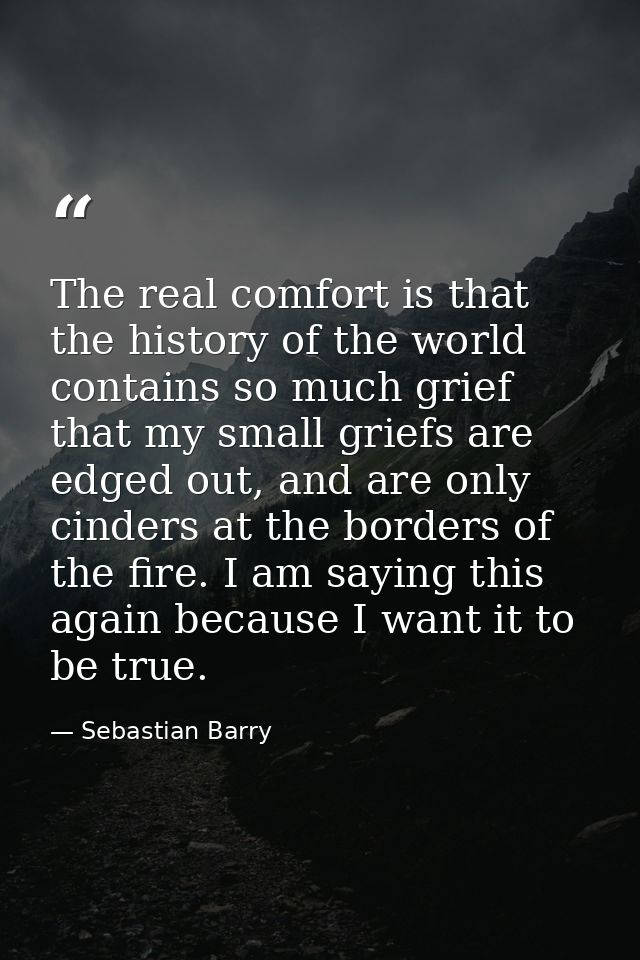 The real comfort is that the history of the world contains so much grief that my small griefs are edged out, and are onl — Sebastian Barry