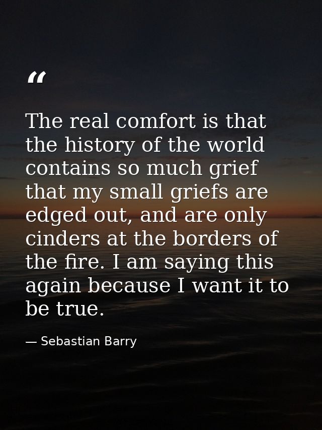 The real comfort is that the history of the world contains so much grief that my small griefs are edged out, and are onl — Sebastian Barry