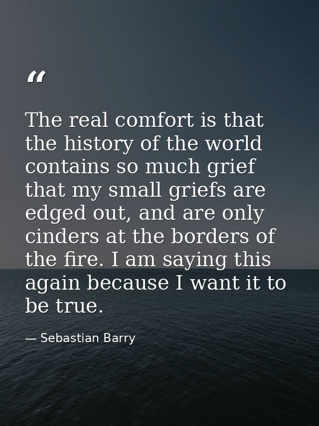 The real comfort is that the history of the world contains so much grief that my small griefs are edged out, and are onl — Sebastian Barry