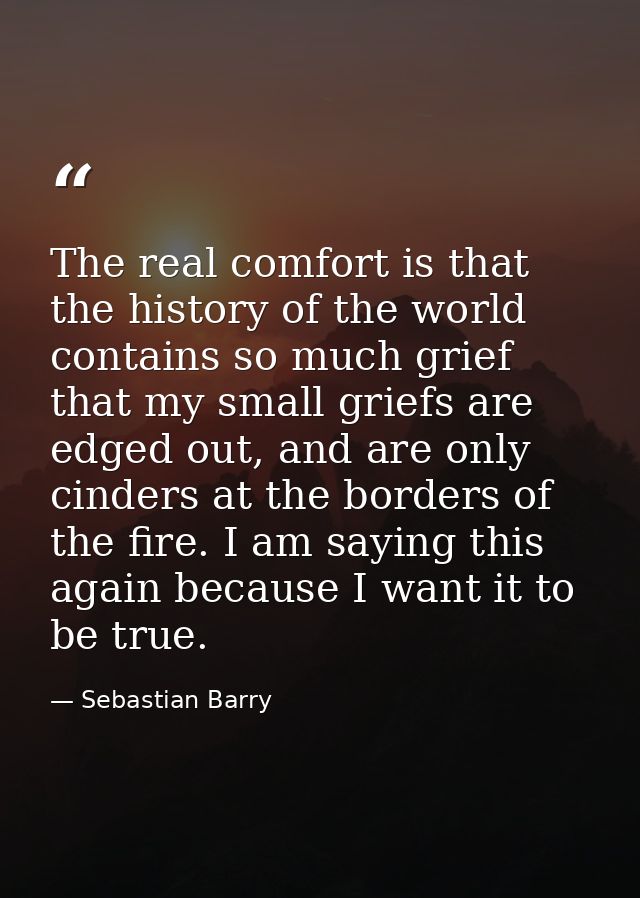 The real comfort is that the history of the world contains so much grief that my small griefs are edged out, and are onl — Sebastian Barry