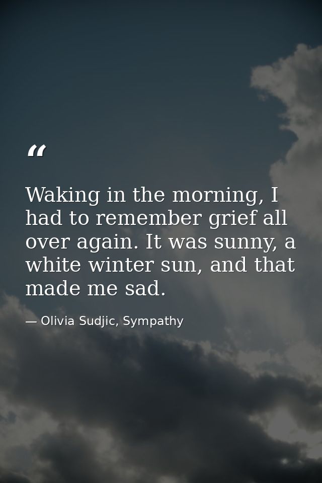 Waking in the morning, I had to remember grief all over again. It was sunny, a white winter sun, and that made me sad. — Olivia Sudjic, Sympathy