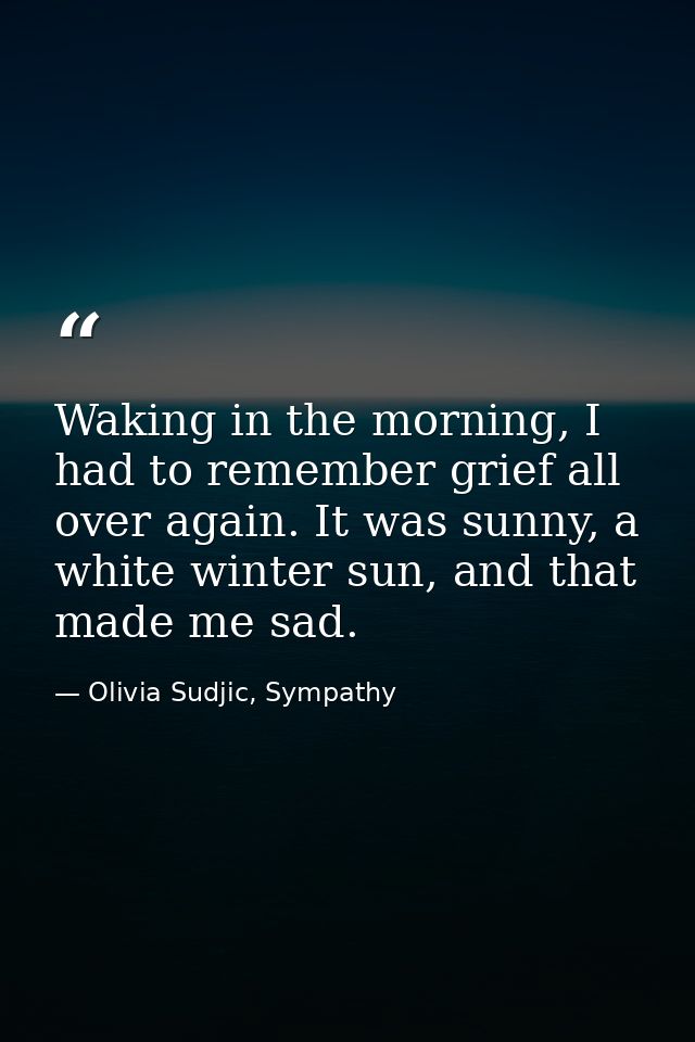 Waking in the morning, I had to remember grief all over again. It was sunny, a white winter sun, and that made me sad. — Olivia Sudjic, Sympathy