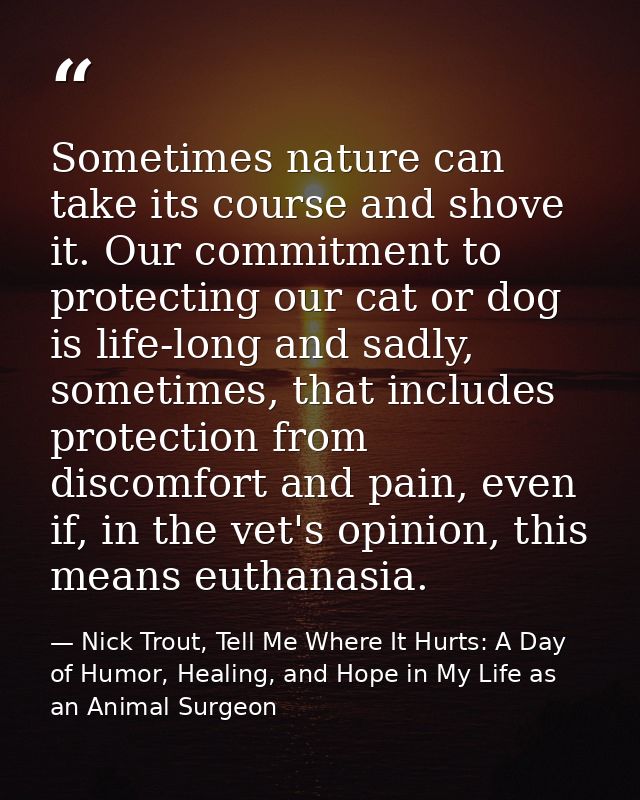 Sometimes nature can take its course and shove it. Our commitment to protecting our cat or dog is life-long and sadly, s — Nick Trout, Tell Me Where It Hurts: A Day of Humor, Healing, and Hope in My Life as an Animal Surgeon