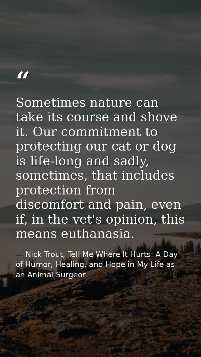 Sometimes nature can take its course and shove it. Our commitment to protecting our cat or dog is life-long and sadly, s — Nick Trout, Tell Me Where It Hurts: A Day of Humor, Healing, and Hope in My Life as an Animal Surgeon