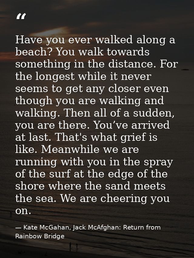 Have you ever walked along a beach? You walk towards something in the distance. For the longest while it never seems to  — Kate McGahan, Jack McAfghan: Return from Rainbow Bridge