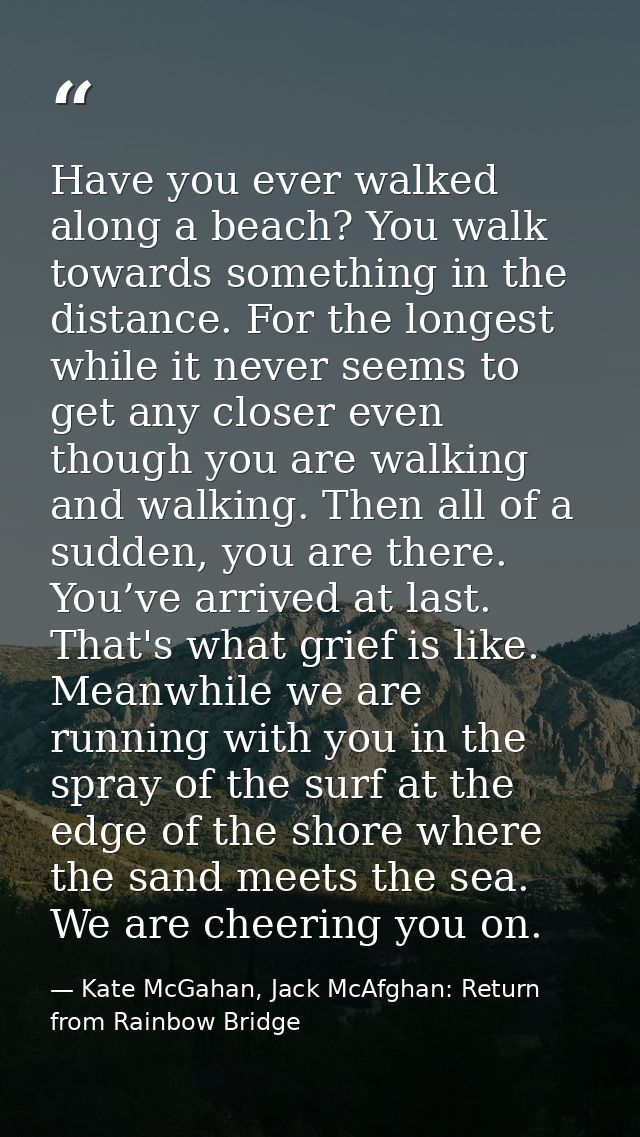 Have you ever walked along a beach? You walk towards something in the distance. For the longest while it never seems to  — Kate McGahan, Jack McAfghan: Return from Rainbow Bridge