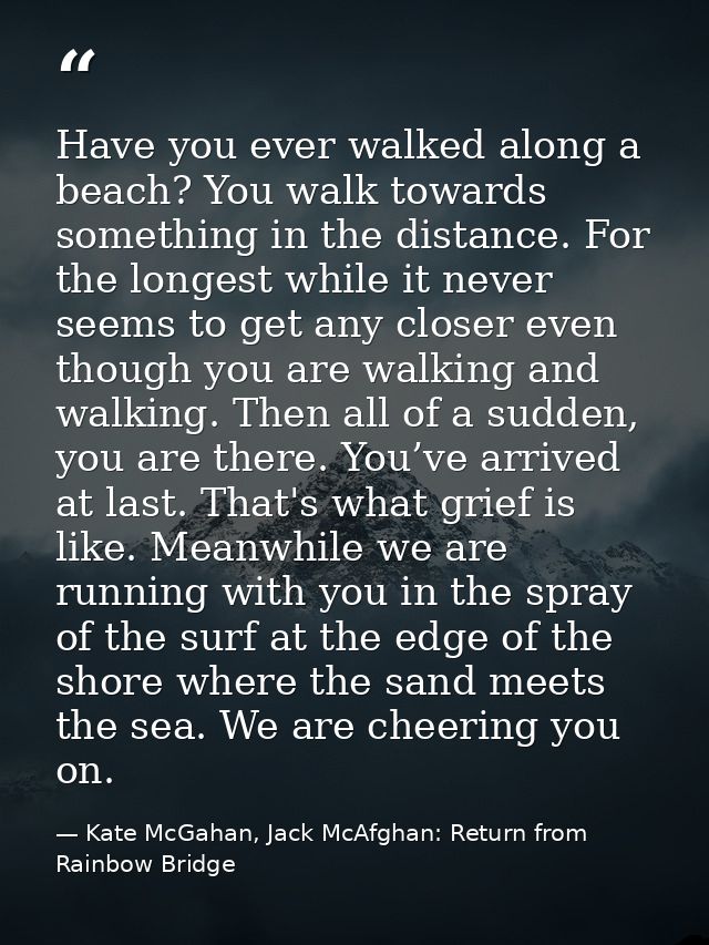 Have you ever walked along a beach? You walk towards something in the distance. For the longest while it never seems to  — Kate McGahan, Jack McAfghan: Return from Rainbow Bridge