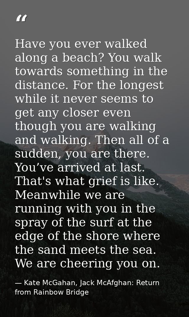 Have you ever walked along a beach? You walk towards something in the distance. For the longest while it never seems to  — Kate McGahan, Jack McAfghan: Return from Rainbow Bridge