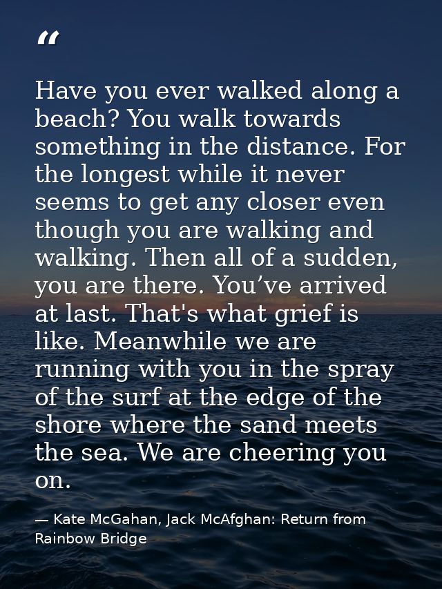 Have you ever walked along a beach? You walk towards something in the distance. For the longest while it never seems to  — Kate McGahan, Jack McAfghan: Return from Rainbow Bridge