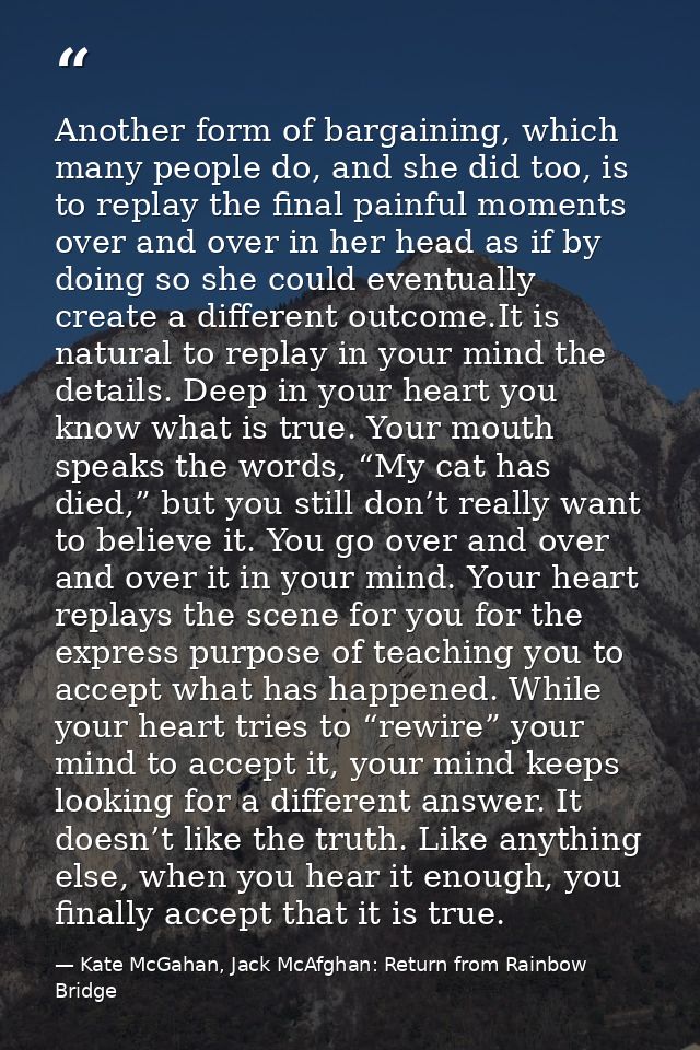 Another form of bargaining, which many people do, and she did too, is to replay the final painful moments over and over  — Kate McGahan, Jack McAfghan: Return from Rainbow Bridge