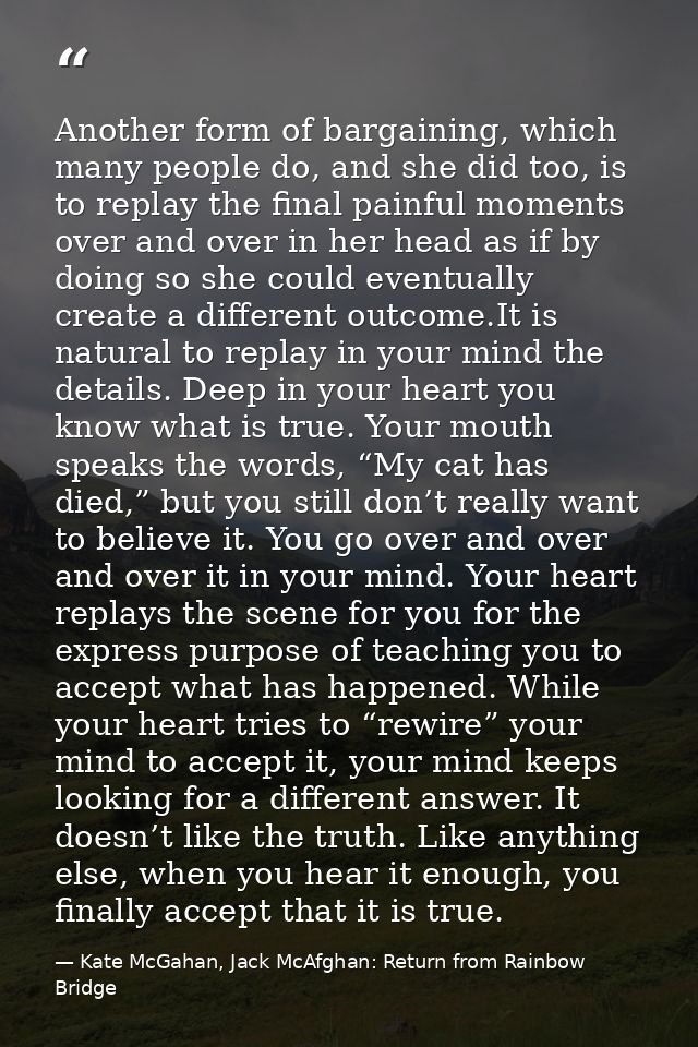 Another form of bargaining, which many people do, and she did too, is to replay the final painful moments over and over  — Kate McGahan, Jack McAfghan: Return from Rainbow Bridge