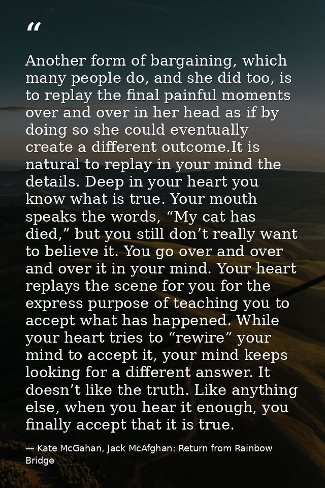 Another form of bargaining, which many people do, and she did too, is to replay the final painful moments over and over  — Kate McGahan, Jack McAfghan: Return from Rainbow Bridge