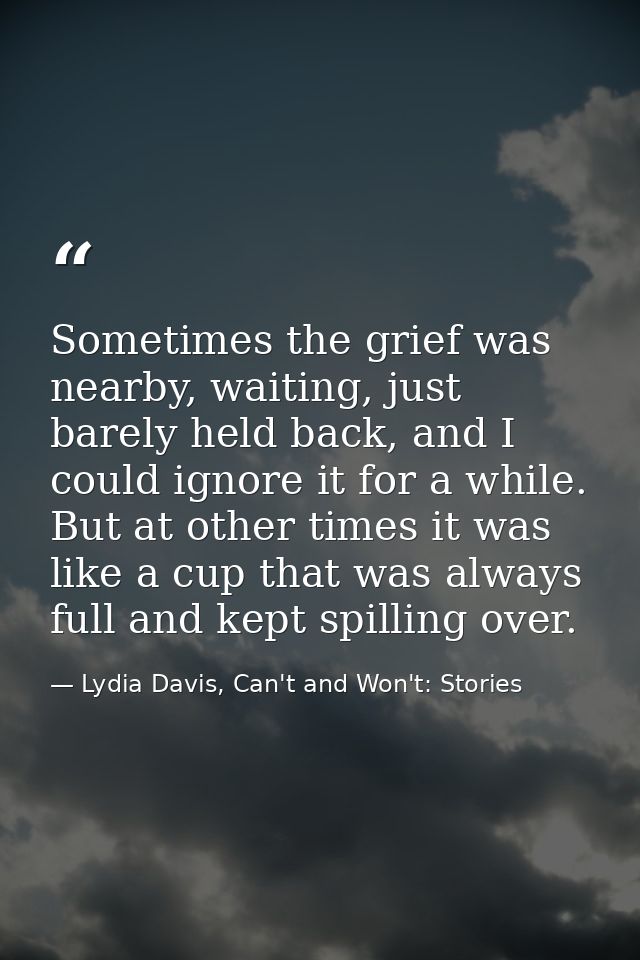 Sometimes the grief was nearby, waiting, just barely held back, and I could ignore it for a while. But at other times it — Lydia Davis, Can't and Won't: Stories