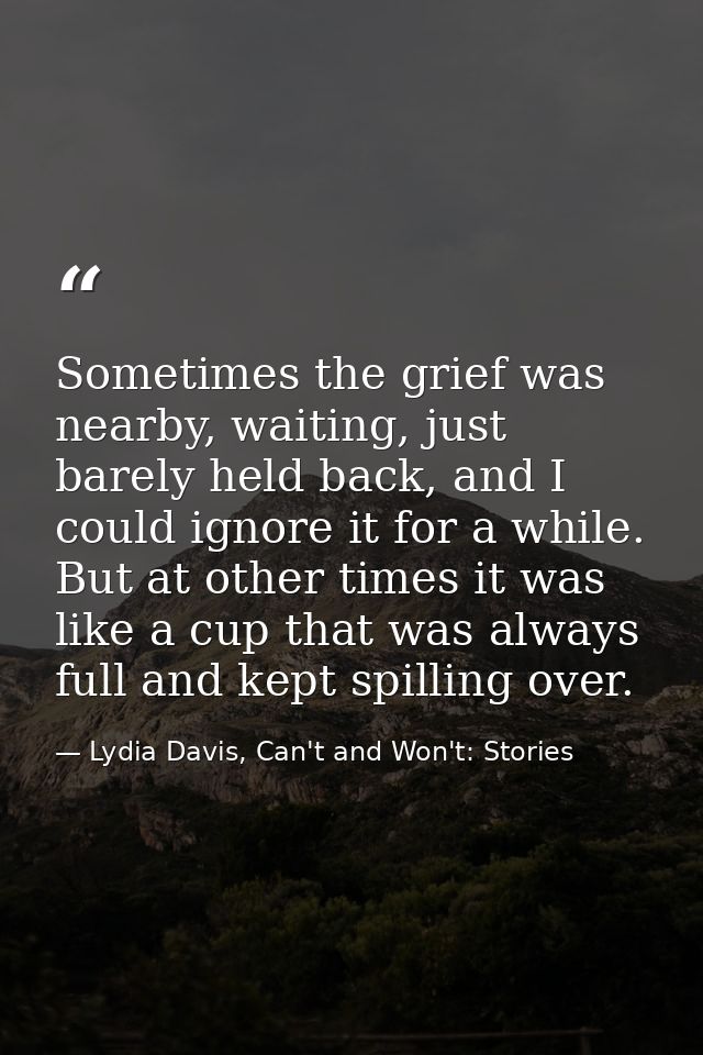 Sometimes the grief was nearby, waiting, just barely held back, and I could ignore it for a while. But at other times it — Lydia Davis, Can't and Won't: Stories