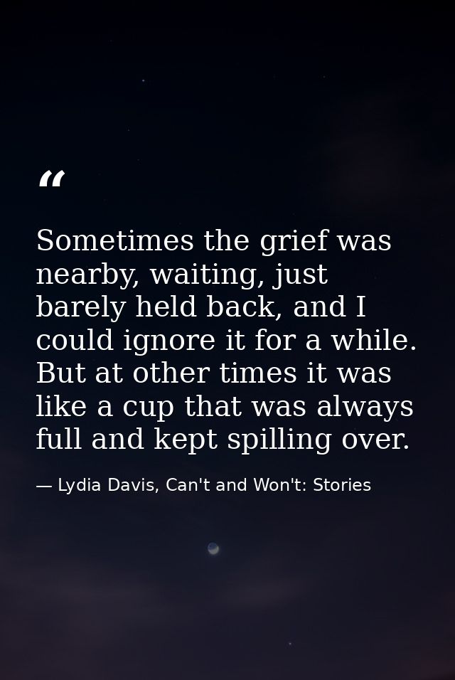 Sometimes the grief was nearby, waiting, just barely held back, and I could ignore it for a while. But at other times it — Lydia Davis, Can't and Won't: Stories