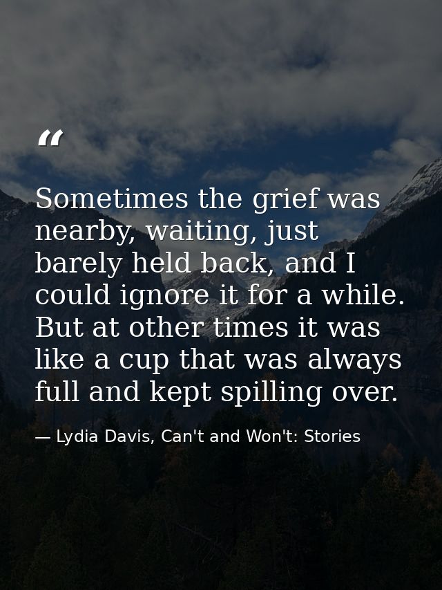 Sometimes the grief was nearby, waiting, just barely held back, and I could ignore it for a while. But at other times it — Lydia Davis, Can't and Won't: Stories