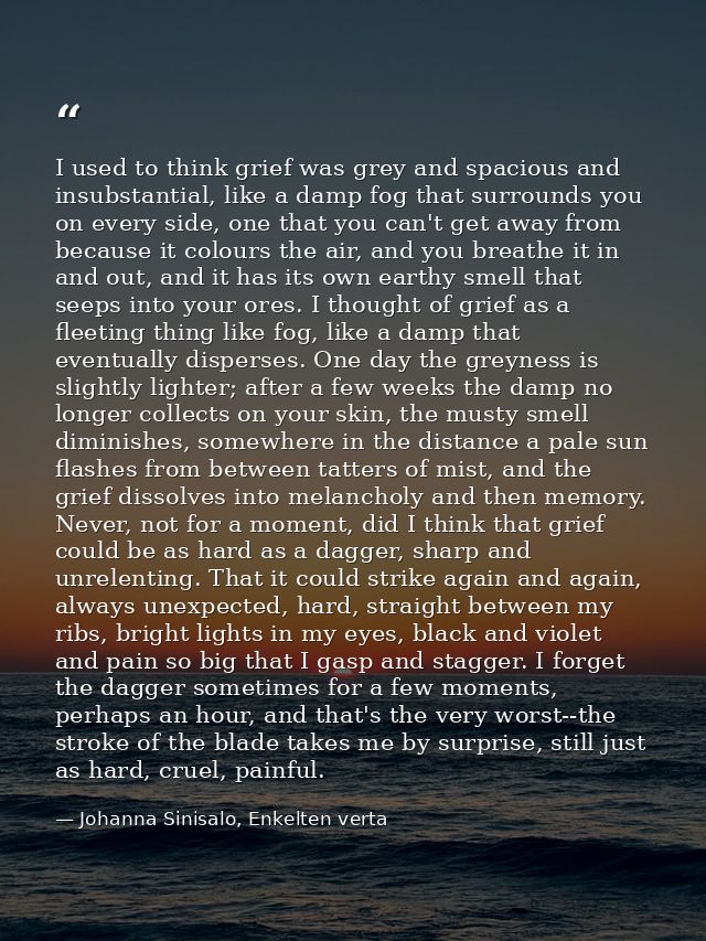 I used to think grief was grey and spacious and insubstantial, like a damp fog that surrounds you on every side, one tha — Johanna Sinisalo, Enkelten verta