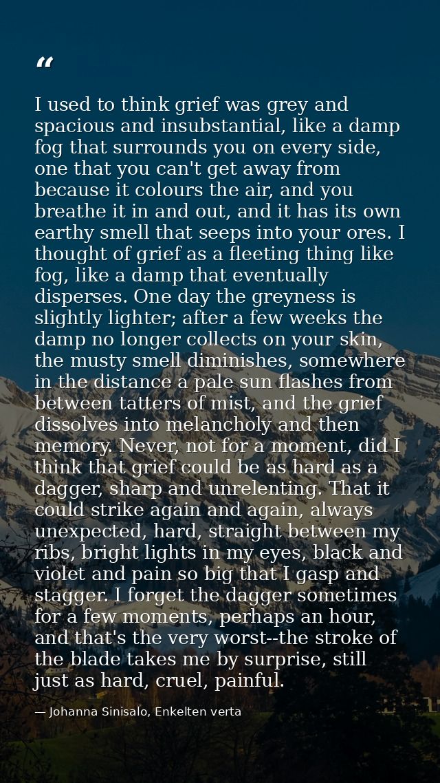 I used to think grief was grey and spacious and insubstantial, like a damp fog that surrounds you on every side, one tha — Johanna Sinisalo, Enkelten verta