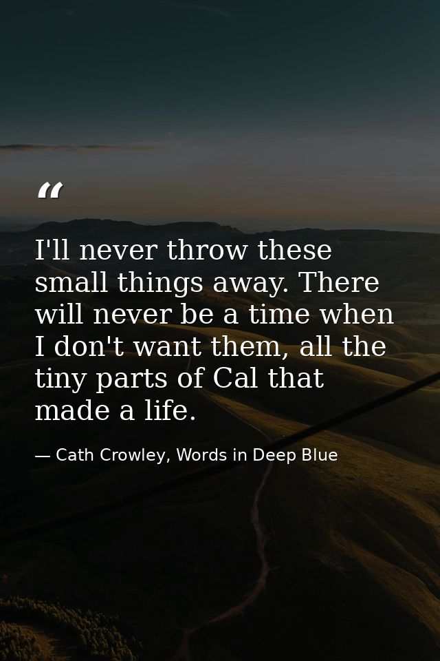I'll never throw these small things away. There will never be a time when I don't want them, all the tiny parts of Cal t — Cath Crowley, Words in Deep Blue