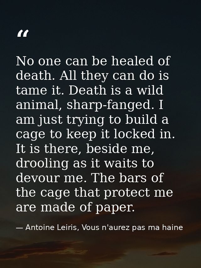 No one can be healed of death. All they can do is tame it. Death is a wild animal, sharp-fanged. I am just trying to bui — Antoine Leiris, Vous n'aurez pas ma haine