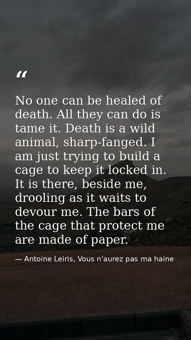 No one can be healed of death. All they can do is tame it. Death is a wild animal, sharp-fanged. I am just trying to bui — Antoine Leiris, Vous n'aurez pas ma haine