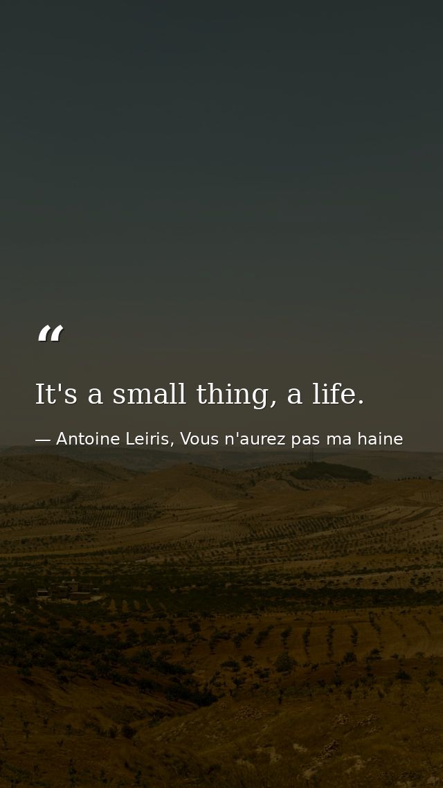 It's a small thing, a life. — Antoine Leiris, Vous n'aurez pas ma haine