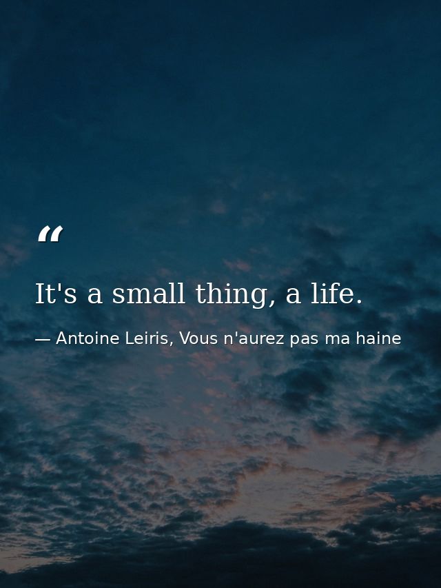 It's a small thing, a life. — Antoine Leiris, Vous n'aurez pas ma haine