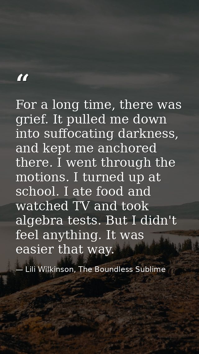 For a long time, there was grief. It pulled me down into suffocating darkness, and kept me anchored there. I went throug — Lili Wilkinson, The Boundless Sublime