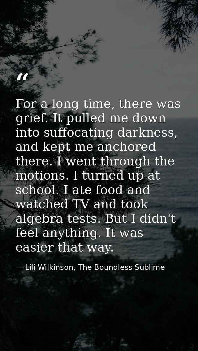 For a long time, there was grief. It pulled me down into suffocating darkness, and kept me anchored there. I went throug — Lili Wilkinson, The Boundless Sublime