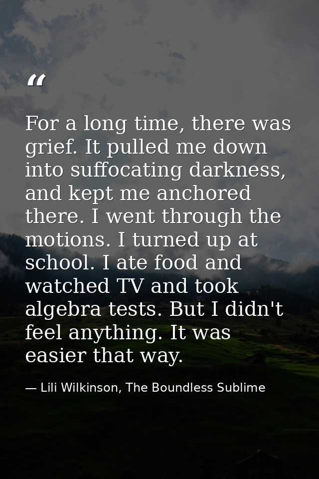 For a long time, there was grief. It pulled me down into suffocating darkness, and kept me anchored there. I went throug — Lili Wilkinson, The Boundless Sublime