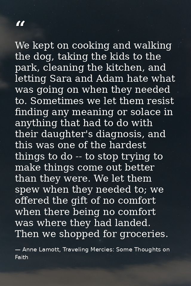 We kept on cooking and walking the dog, taking the kids to the park, cleaning the kitchen, and letting Sara and Adam hat — Anne Lamott, Traveling Mercies: Some Thoughts on Faith