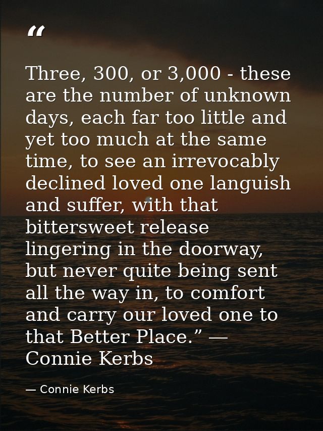 Three, 300, or 3,000 - these are the number of unknown days, each far too little and yet too much at the same time, to s — Connie Kerbs