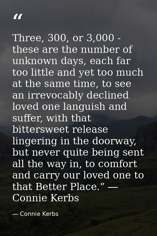 Three, 300, or 3,000 - these are the number of unknown days, each far too little and yet too much at the same time, to s — Connie Kerbs