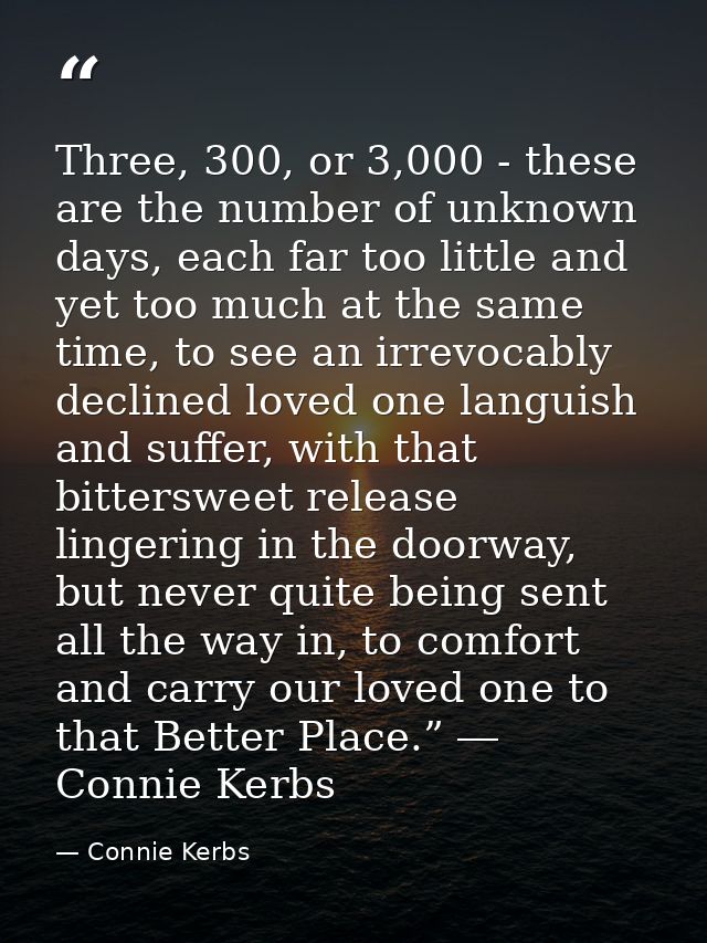 Three, 300, or 3,000 - these are the number of unknown days, each far too little and yet too much at the same time, to s — Connie Kerbs