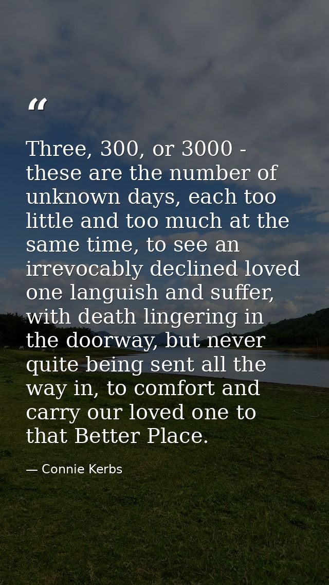 Three, 300, or 3000 - these are the number of unknown days, each too little and too much at the same time, to see an irr — Connie Kerbs