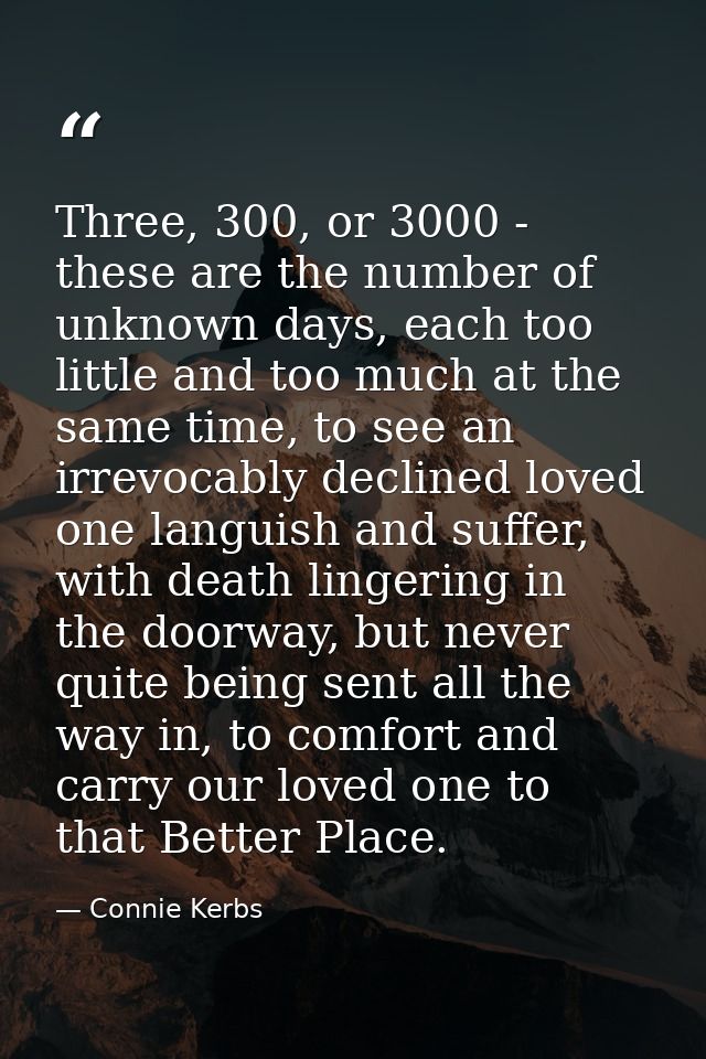 Three, 300, or 3000 - these are the number of unknown days, each too little and too much at the same time, to see an irr — Connie Kerbs