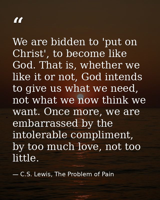 We are bidden to 'put on Christ', to become like God. That is, whether we like it or not, God intends to give us what we — C.S. Lewis, The Problem of Pain