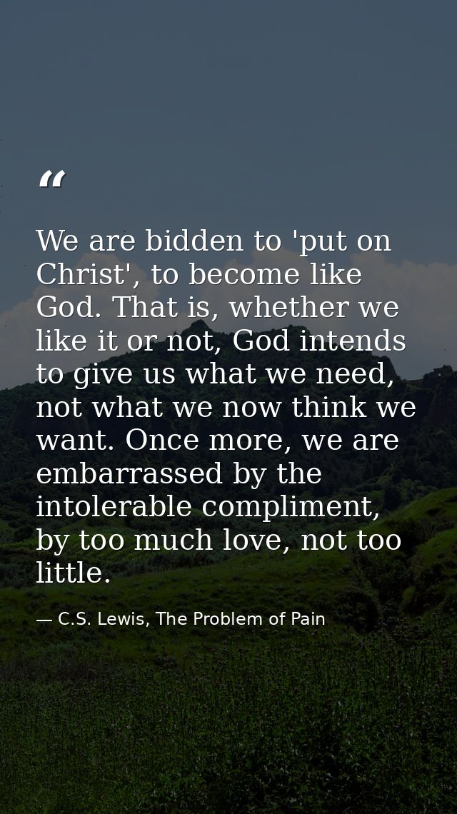 We are bidden to 'put on Christ', to become like God. That is, whether we like it or not, God intends to give us what we — C.S. Lewis, The Problem of Pain